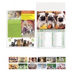 Calendari Cani e Gatti 100 pezzi